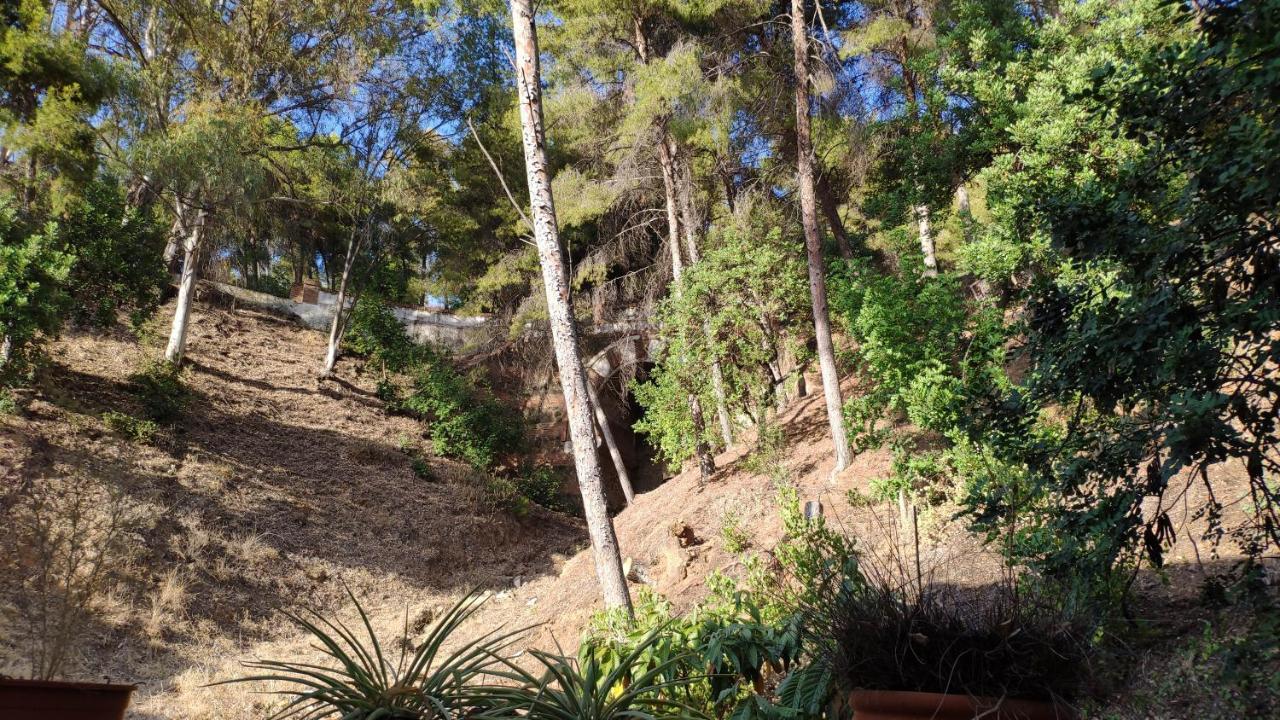 Fabulosa Casa Del Arbol Μάλαγα Εξωτερικό φωτογραφία